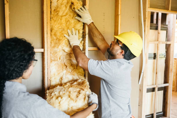 Insulation Replacement Services in Jamestown, NY